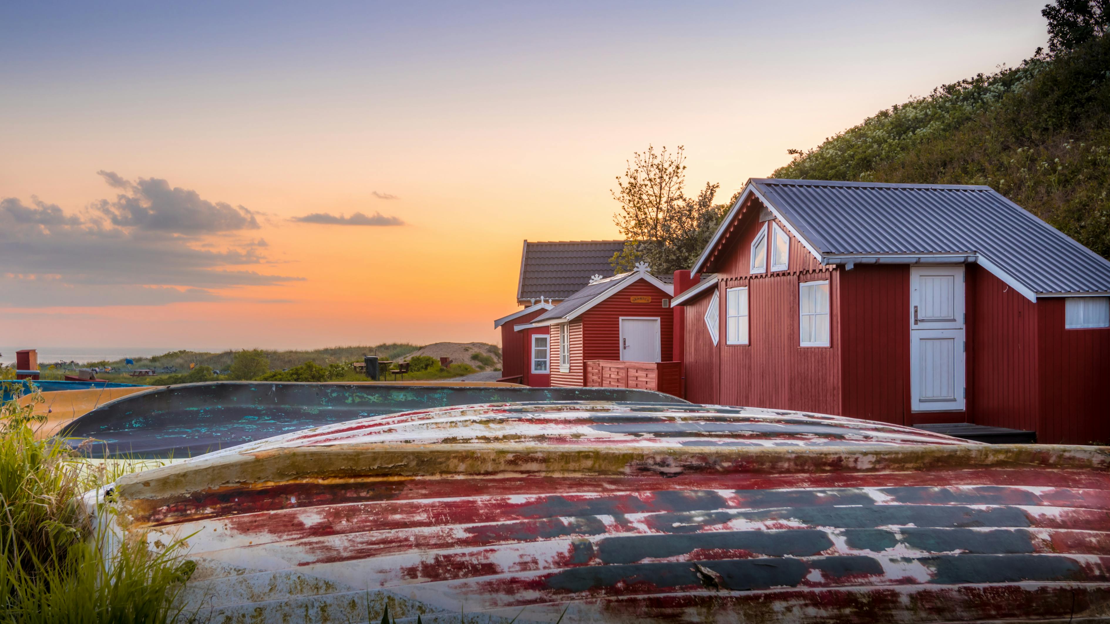 全球猪瘟疫最新动态,防控形势及应对策略更新报道
