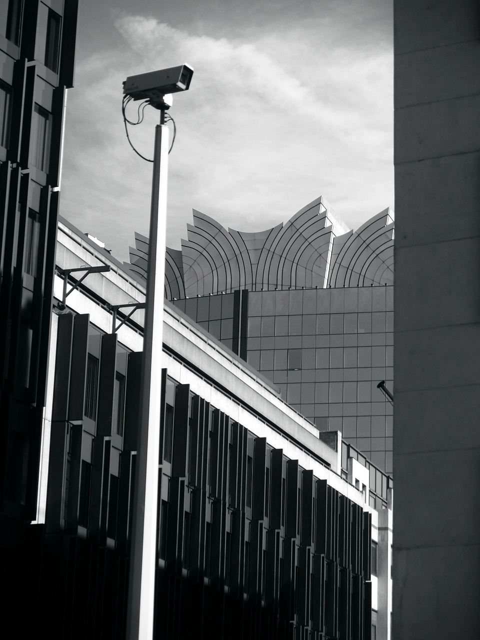 漾濞地震持续监测与救援进展报告,最新动态更新