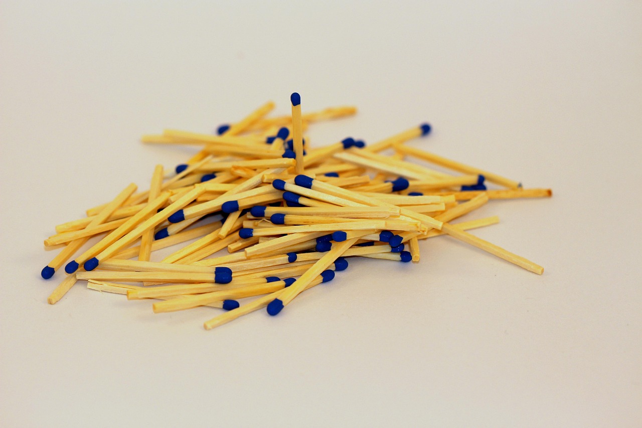 雷曼动态，探索企业活力之源的奥秘