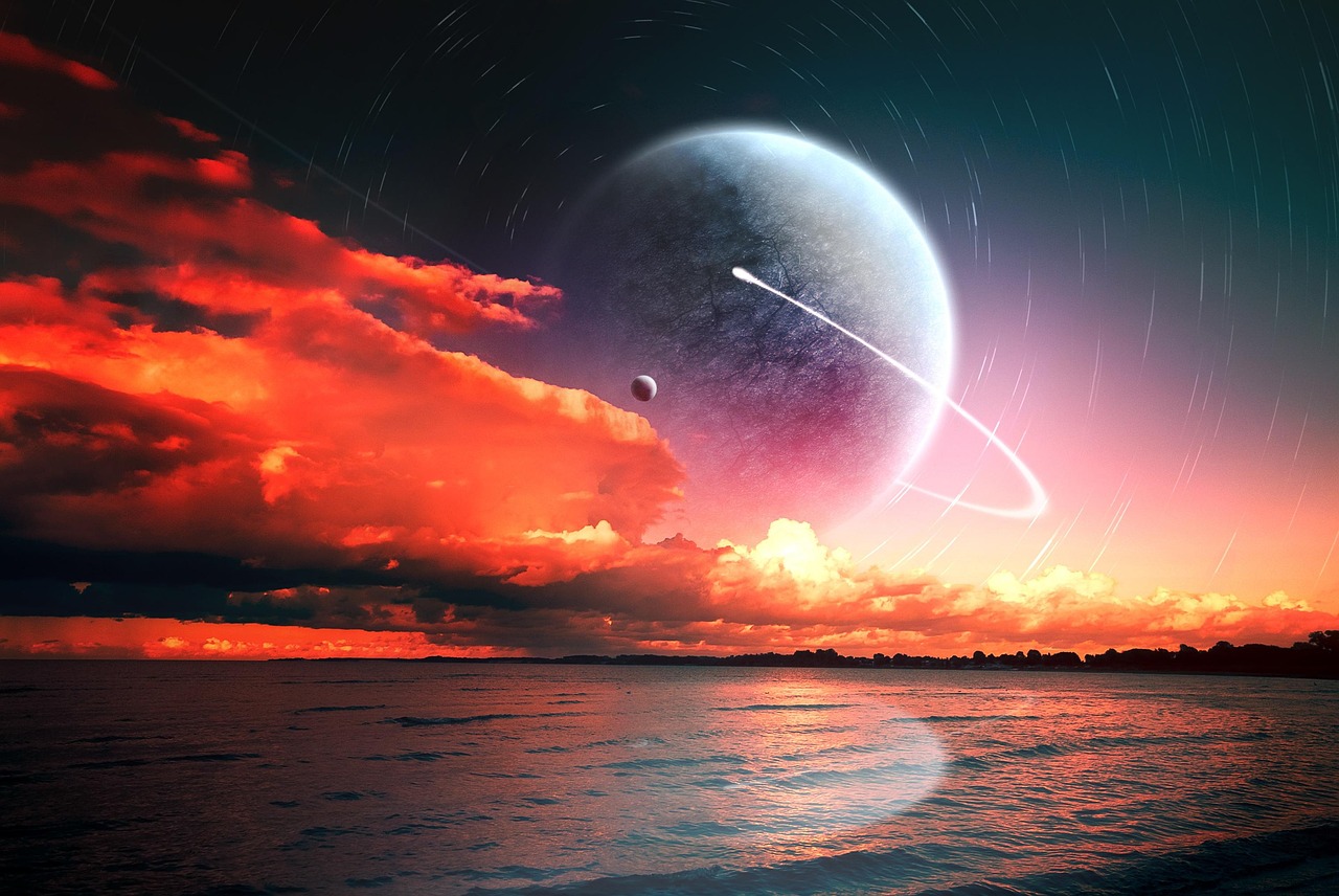 雷曼动态,探索企业活力之源的奥秘