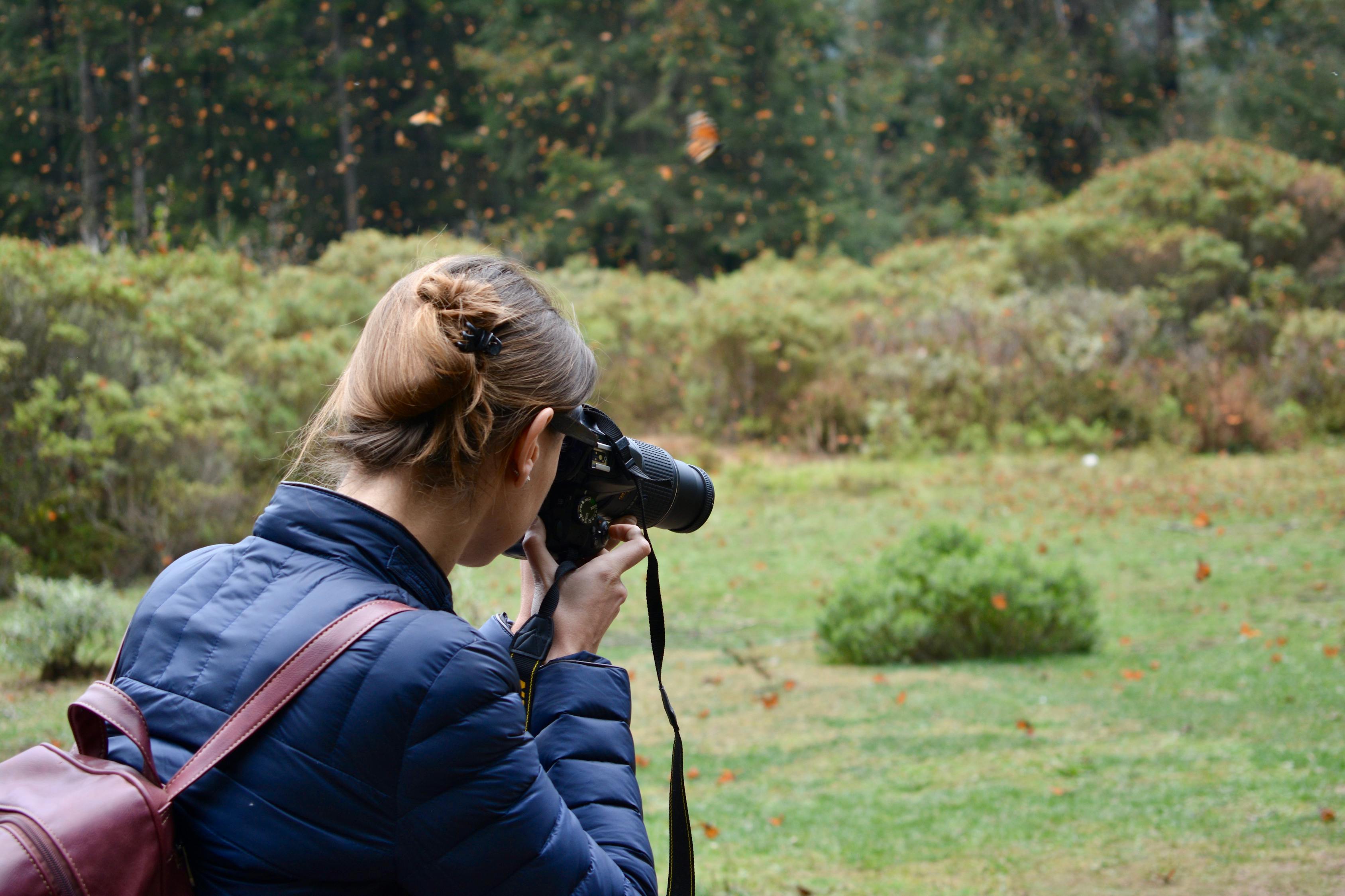 杀死比尔3备受期待的电影新作揭秘