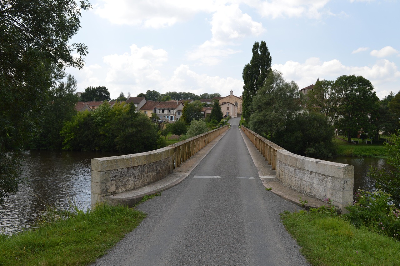 印花税调整最新动态,影响及未来展望