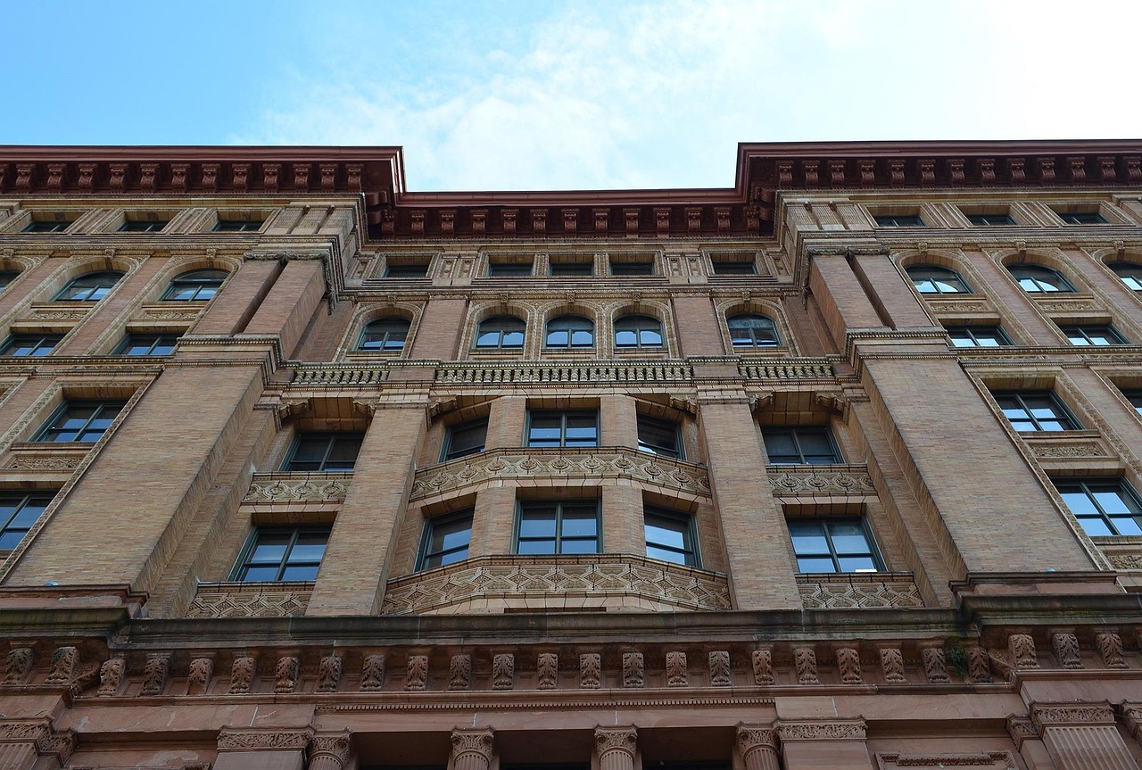 猪肉价格动态，市场走势、影响因素及未来展望分析