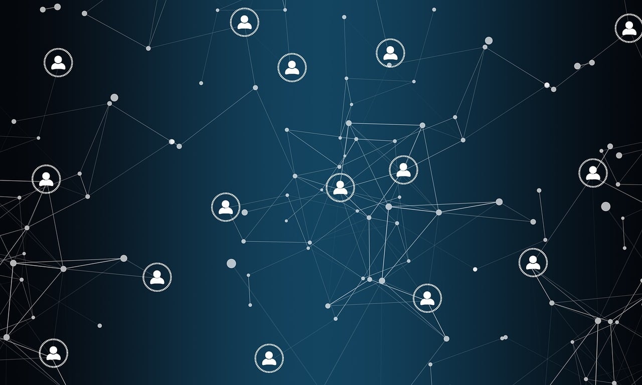 五林风资讯,探索信息世界的奥秘