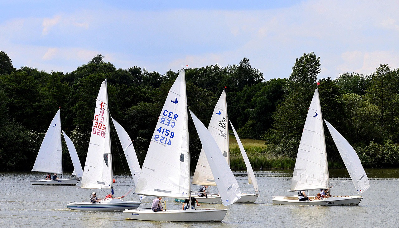 观看比赛，情感过山车之旅