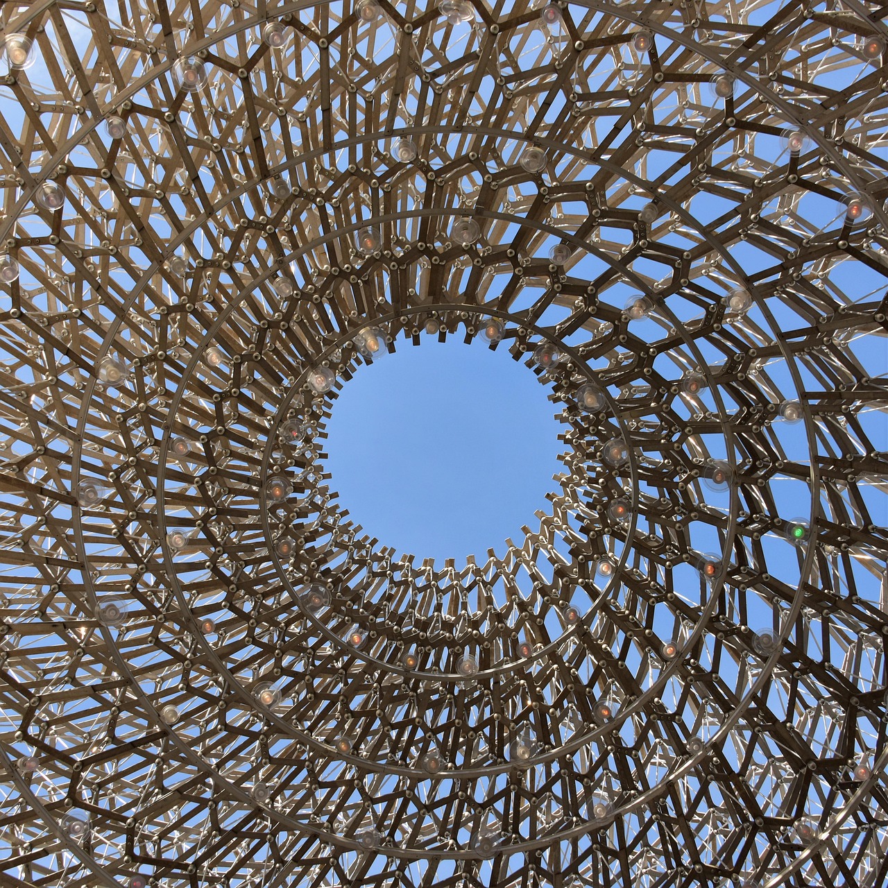 芦丁行情深度分析与展望