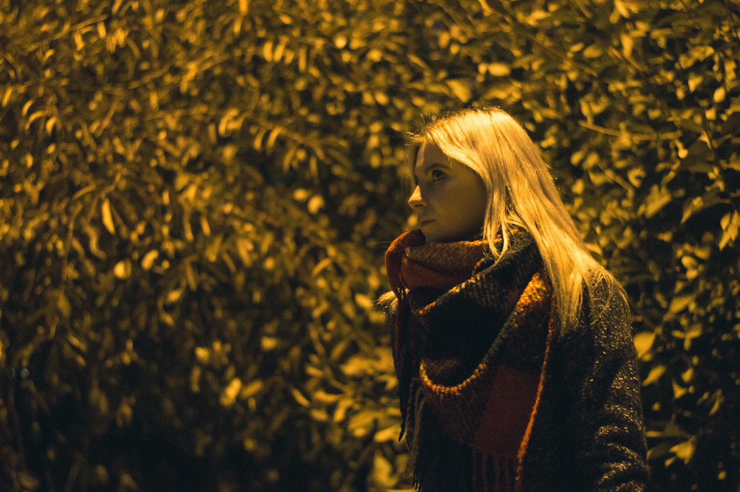 老电影女演员，时光里的璀璨星辰记忆