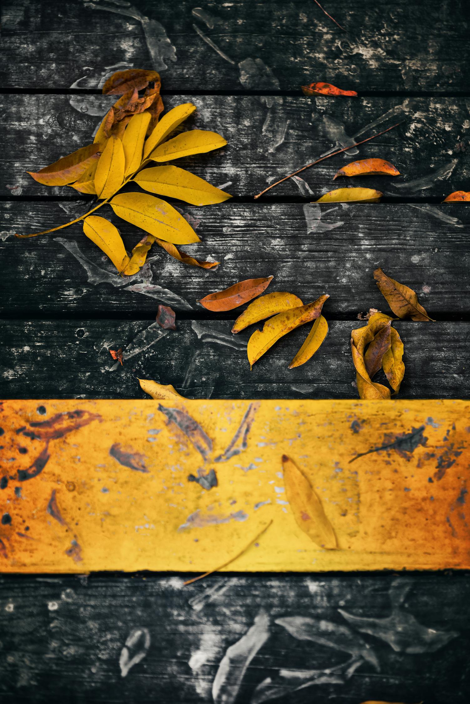 创作指南，打造无色情内容的优质文章标题