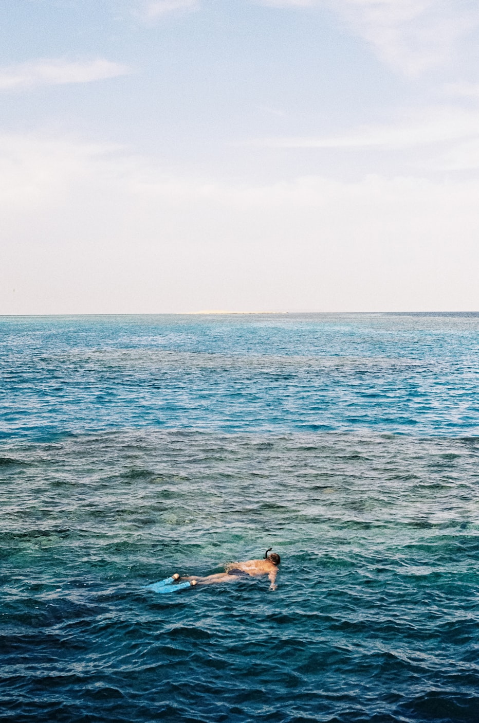 跃动海洋的视听奇旅——海豚电影