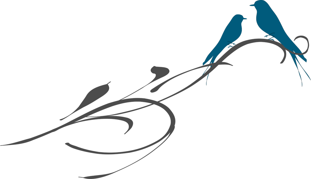 爱之蓝米粉最新动态揭秘，深度解读与探索之旅