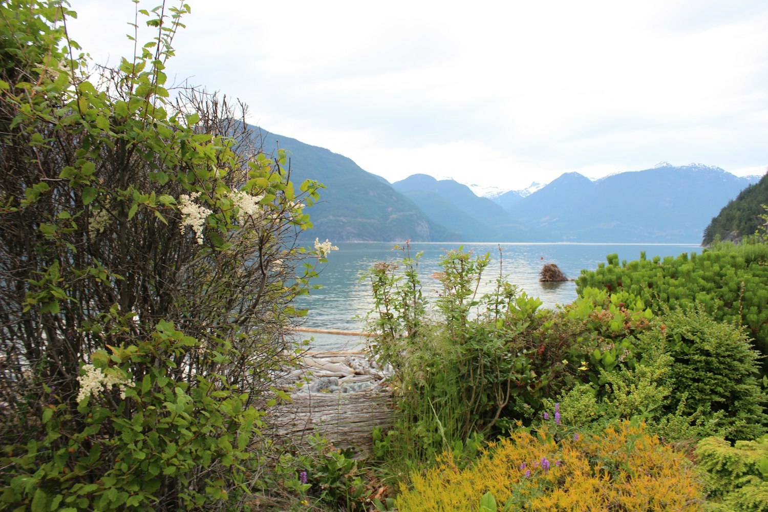 爱之蓝米粉最新动态揭秘,深度解读与探索之旅