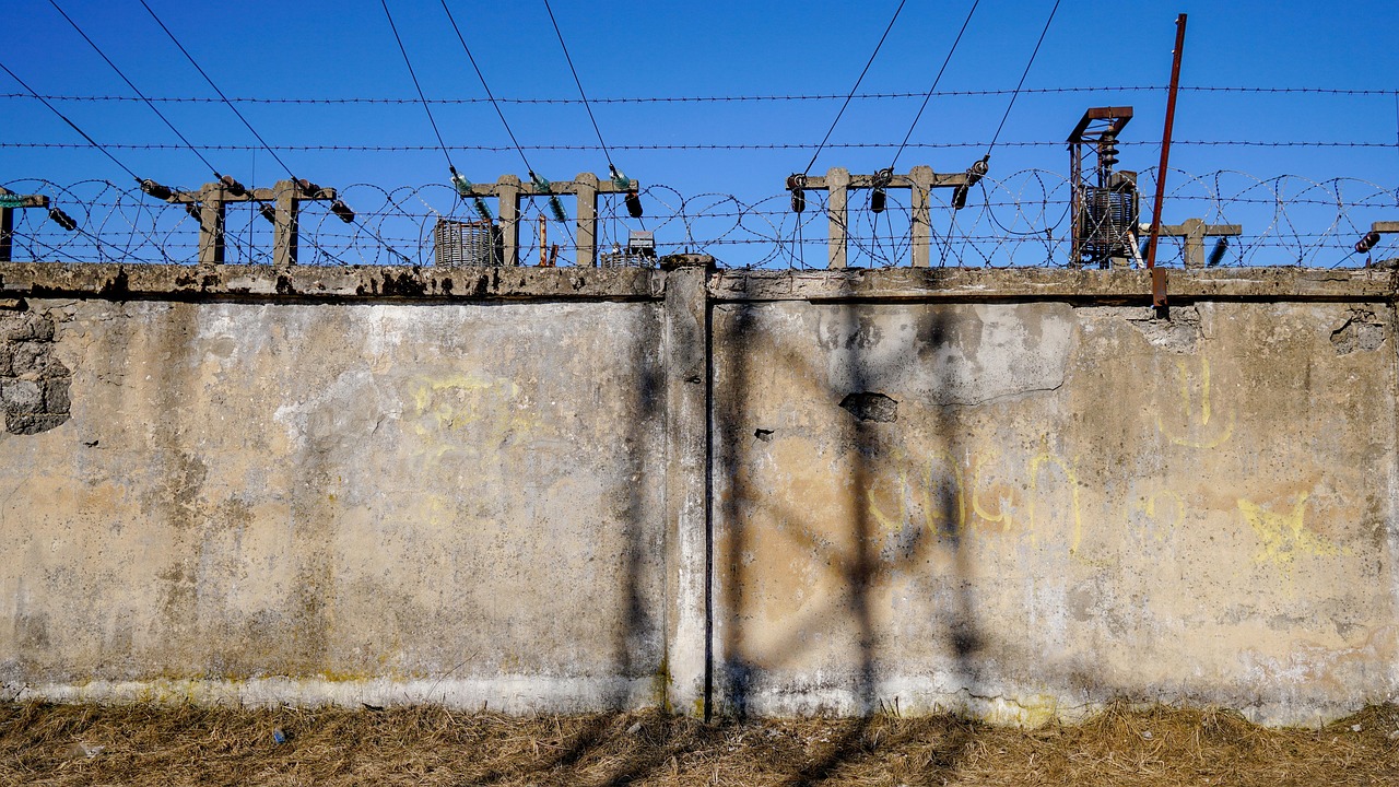 华赛最新动态,引领科技创新,全球发展助力者