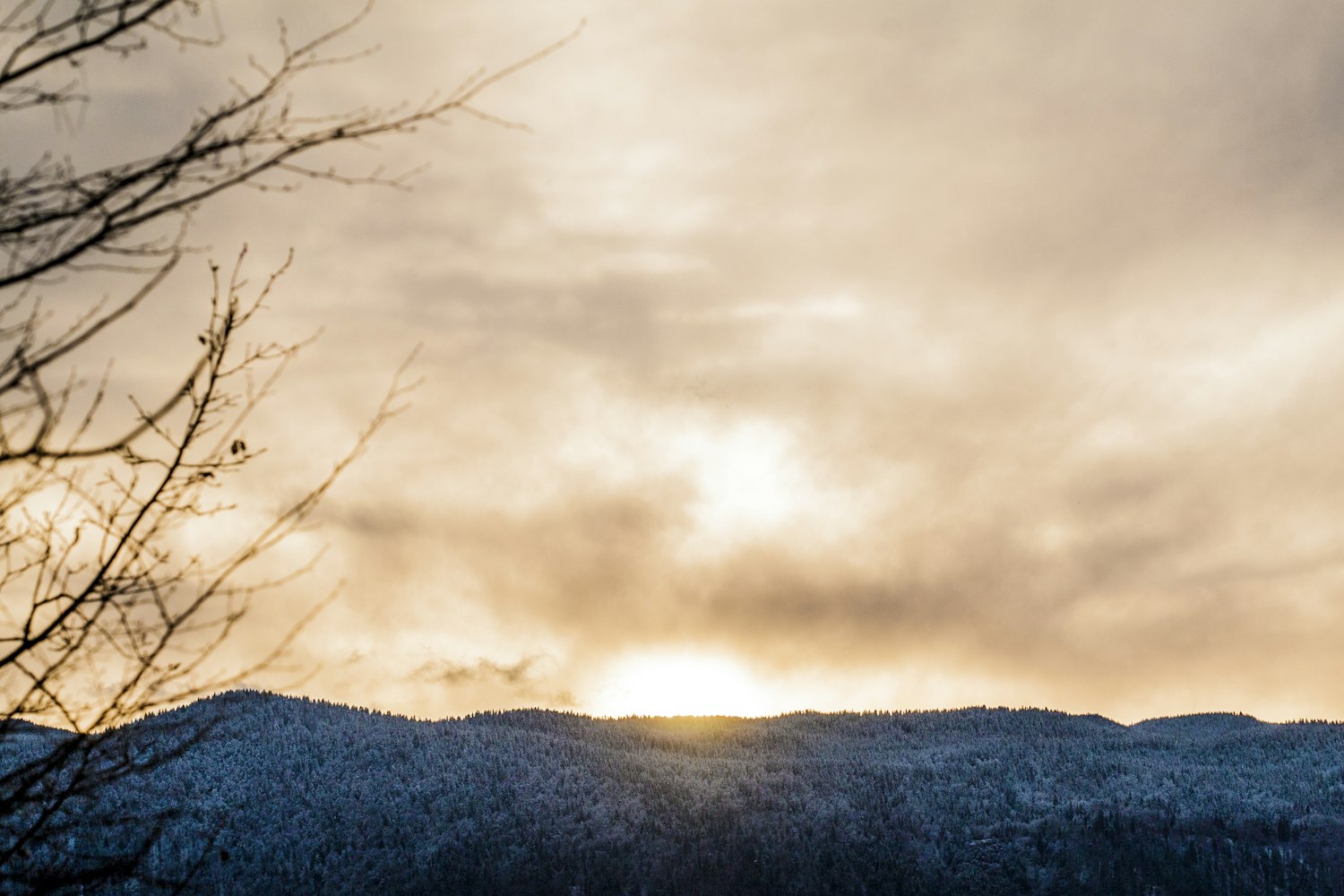 温暖阳光下的美好瞬间,最新下午好图片精选