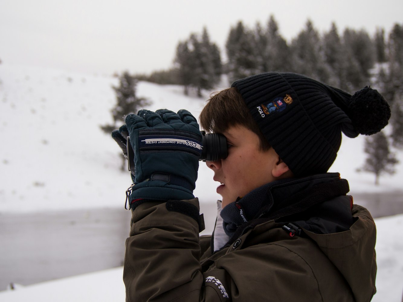 多萝茜的新动态,探索未知的旅程进展