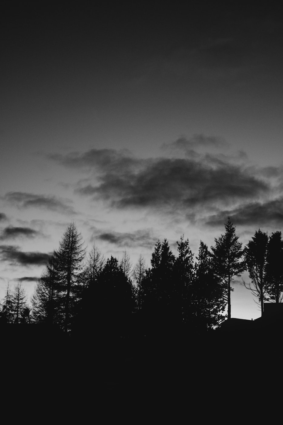 电影黑侠,英雄与命运的交织之旅