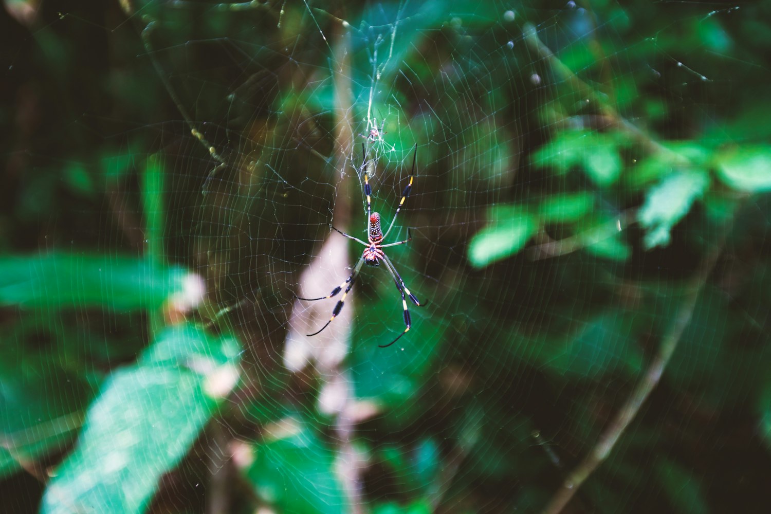 一念永恒免费章节更新探寻网络文学的魅力之旅,一念之间的奇幻之旅