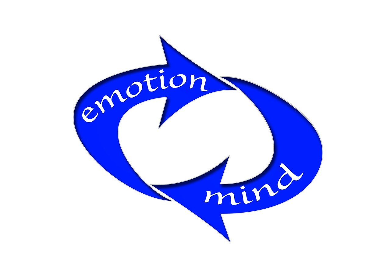 小米美国上市,跨国发展战略选择与资本市场新机遇