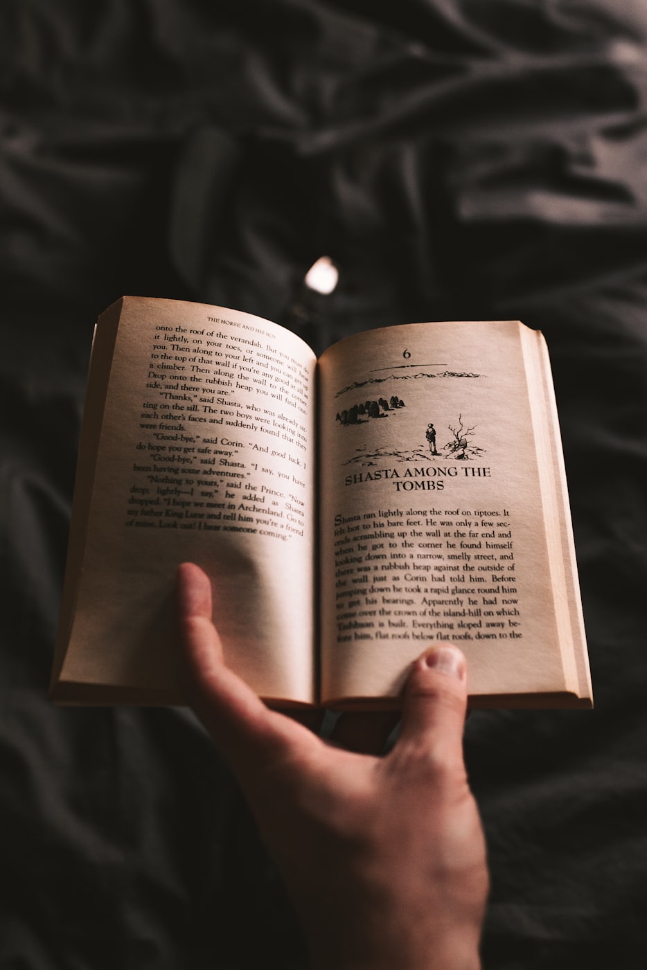 最新恶棍小说,深度揭示黑暗魅力与复杂人性的探索