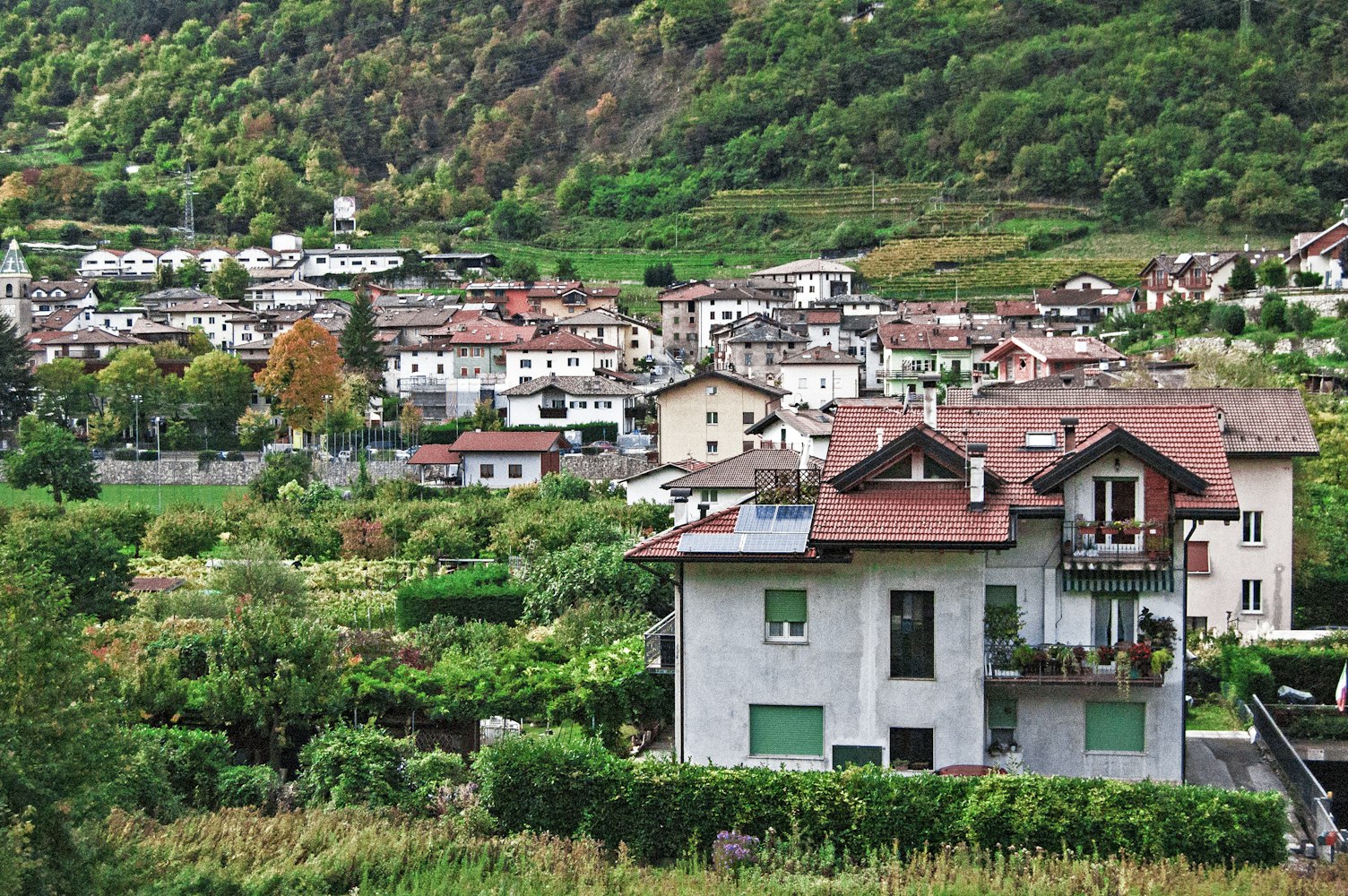 重塑乡村魅力与价值,探索之旅聚焦土的明星