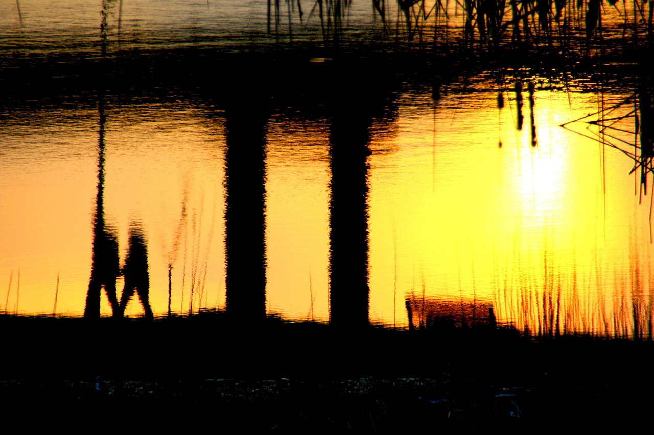 回忆中的童年动漫时光,美好瞬间再现