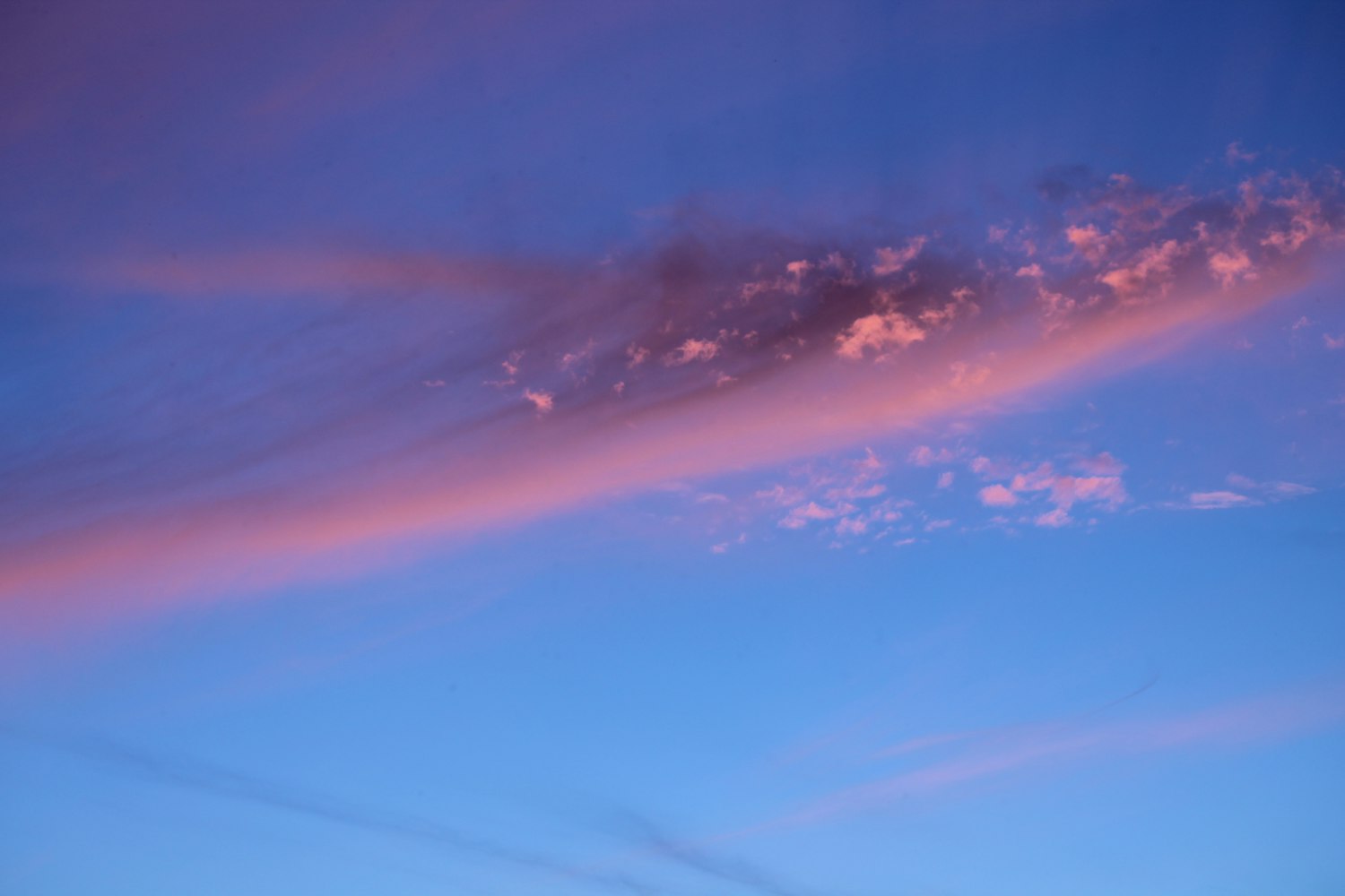 蓝色系动漫图片的魅力探索