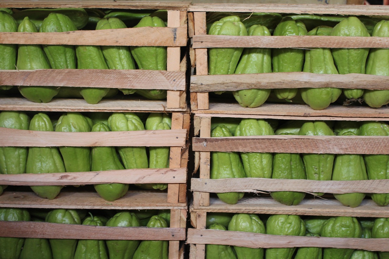 阜宁最新动态与发展亮点探索,城市新鲜资讯一览