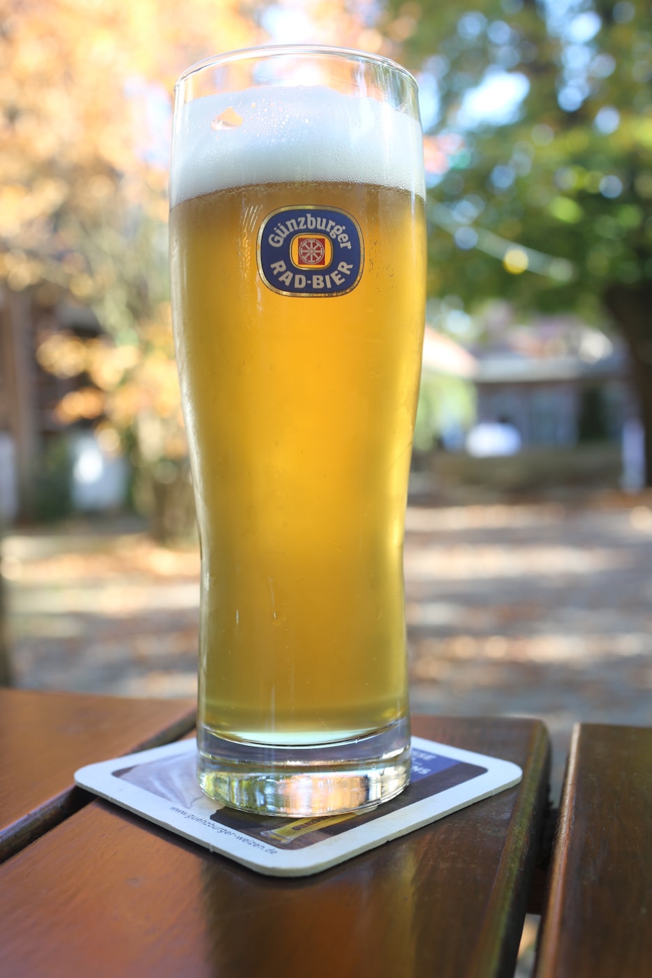 阜宁最新动态与发展亮点探索,城市新鲜资讯一览