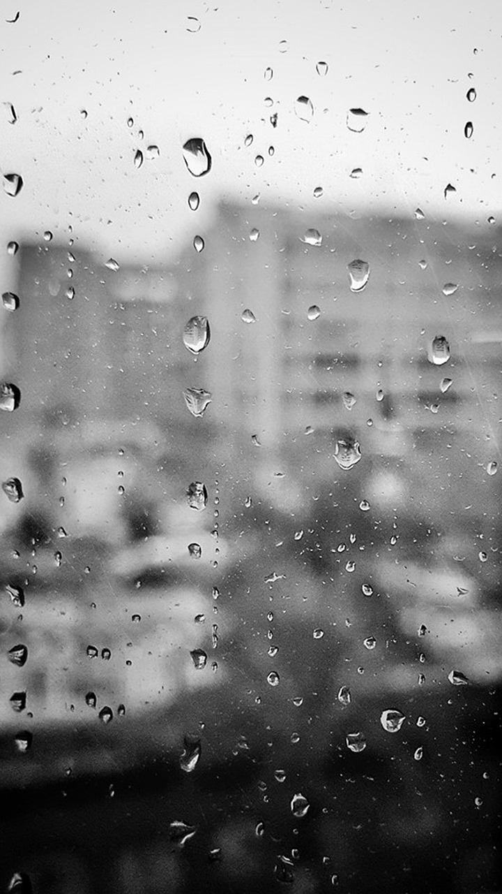 中交宜城春晓最新动态,城市发展与居住品质同步提升