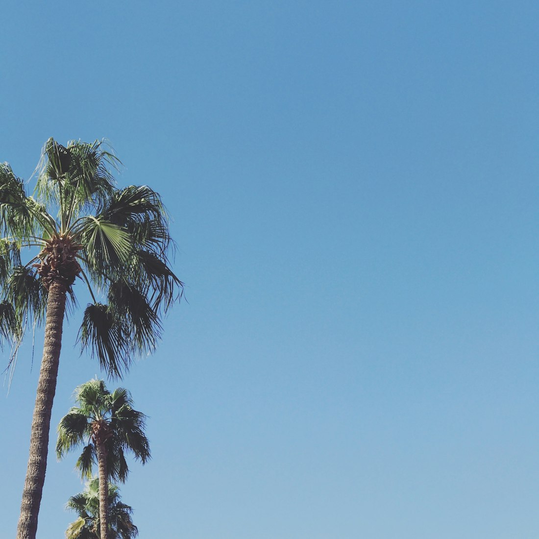 晋城最新疫情动态,全面应对,共筑防线