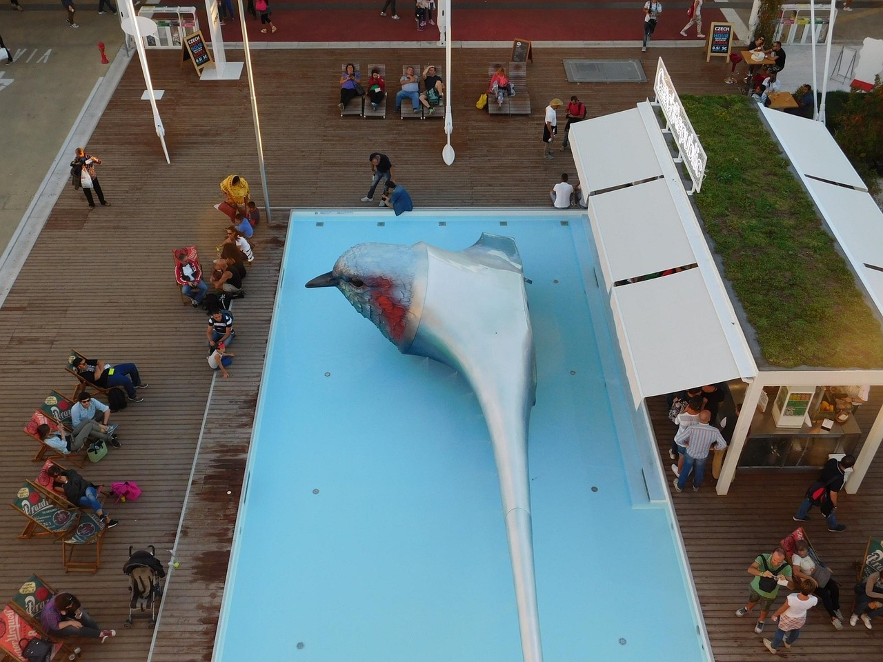 国乒展现新篇章,持续领先世界,中国力量再显风采的最新动态