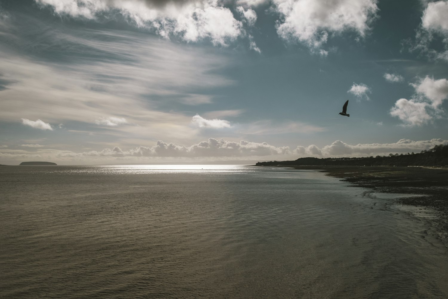 最新资料大全，探索知识的海洋