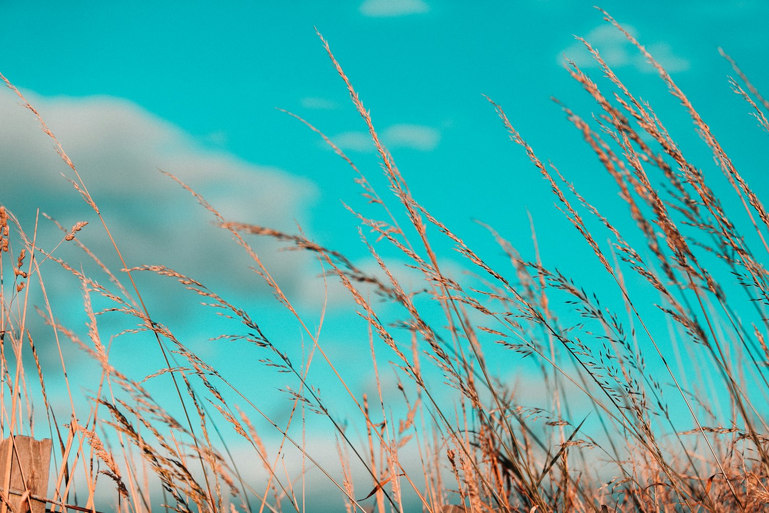 追寻幸福的脚步，快乐新篇章