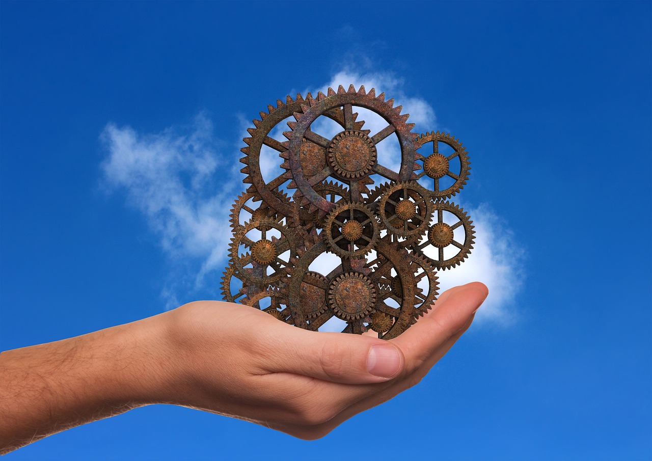 揭秘新动态，探索未来展望下的1024社区独特魅力与未来趋势