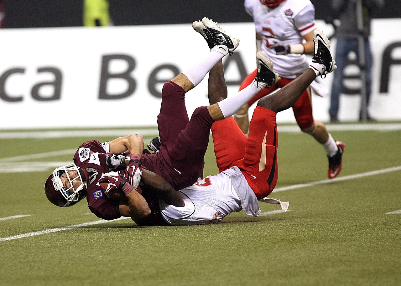 天狮大学城最新资讯概览,动态更新与深度解读