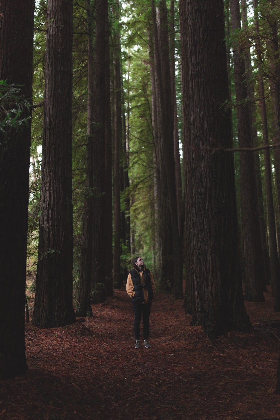 韩国最新电影资讯网,探索韩国电影的魅力与最新动态