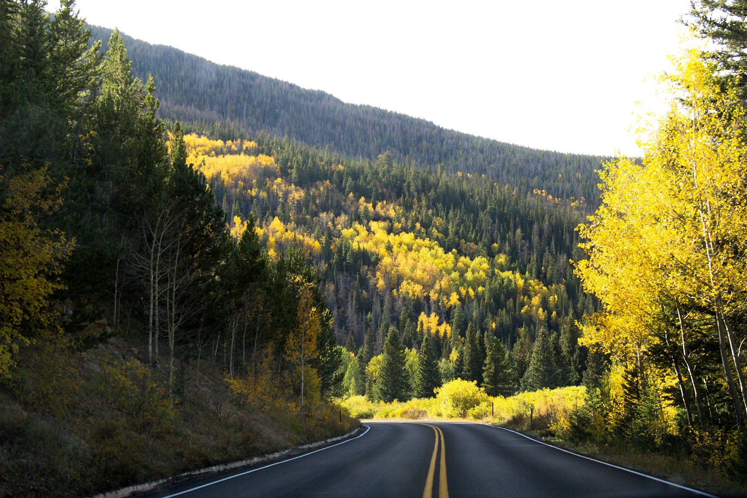 最新交通标线，引领现代道路安全的先锋