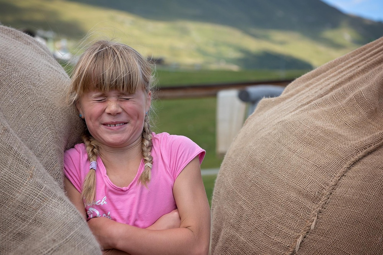 纪晓岚第五部最新动态,历史巨作备受期待