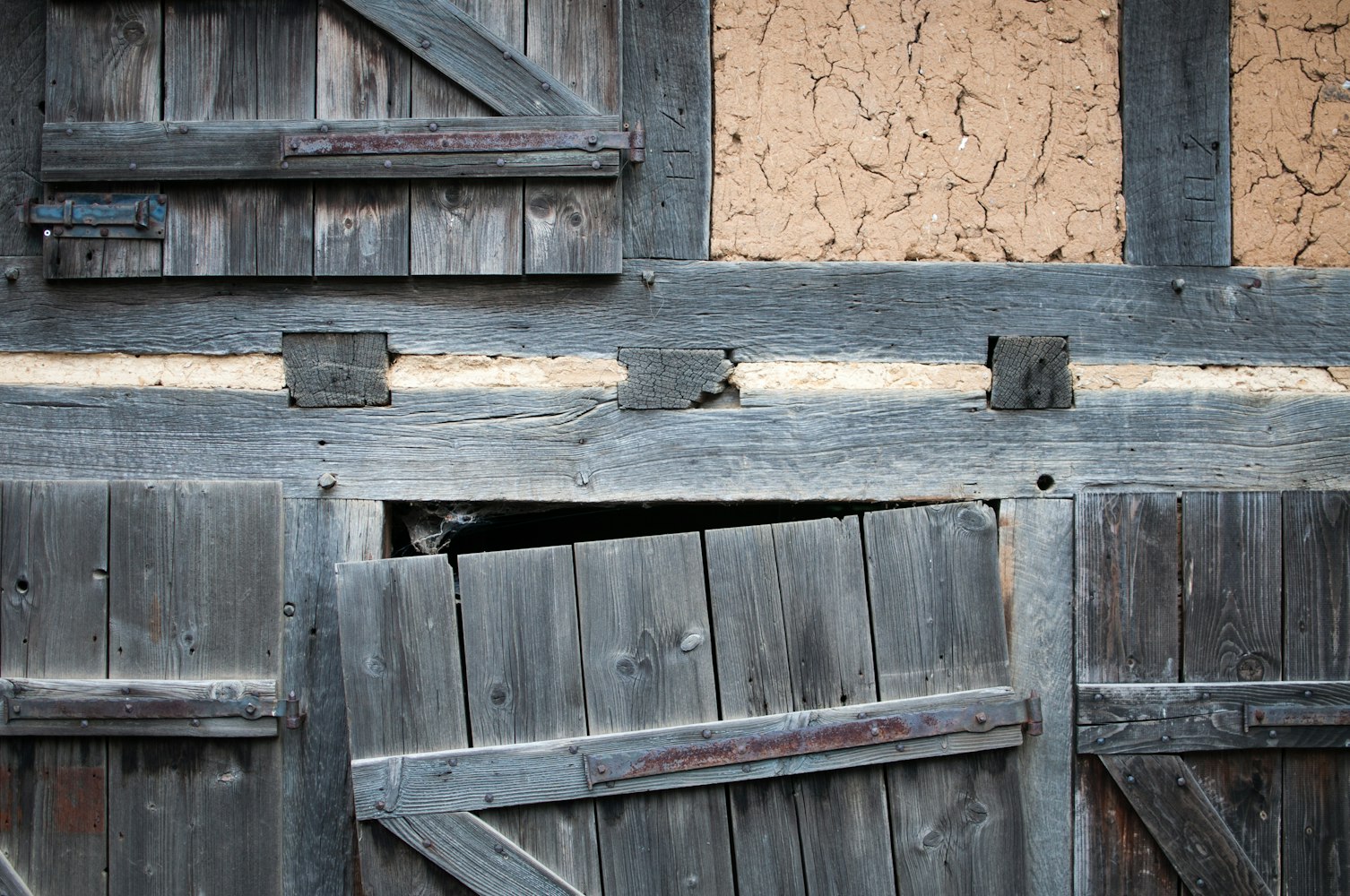 李秋平最新动态，揭开未来无限可能之门