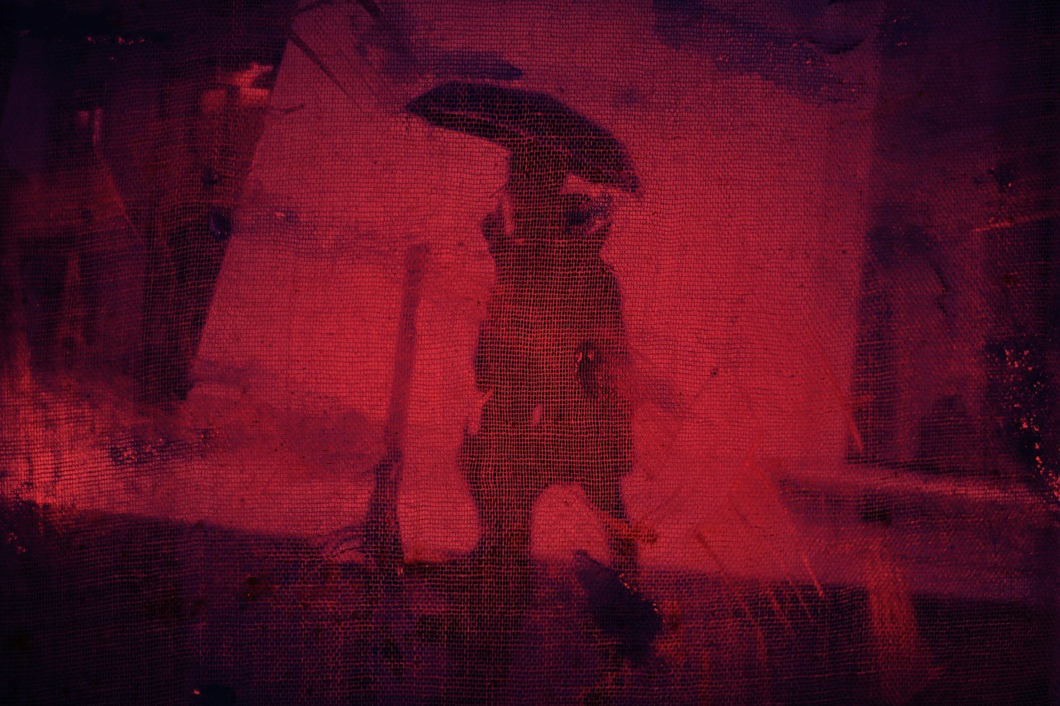 域明星现象，探索背后的故事与启示