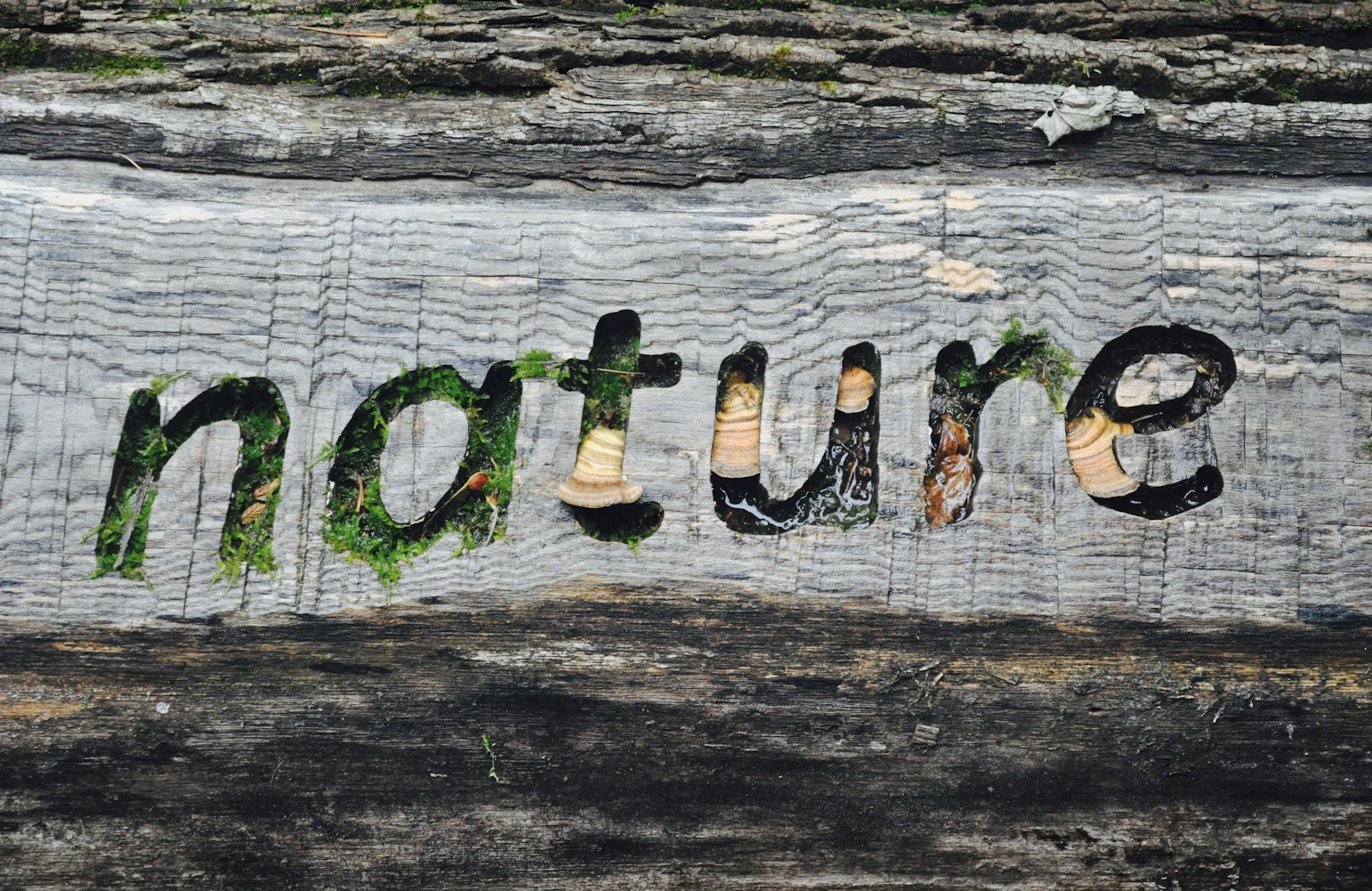 东北抗联电视剧,历史与艺术的完美融合之旅