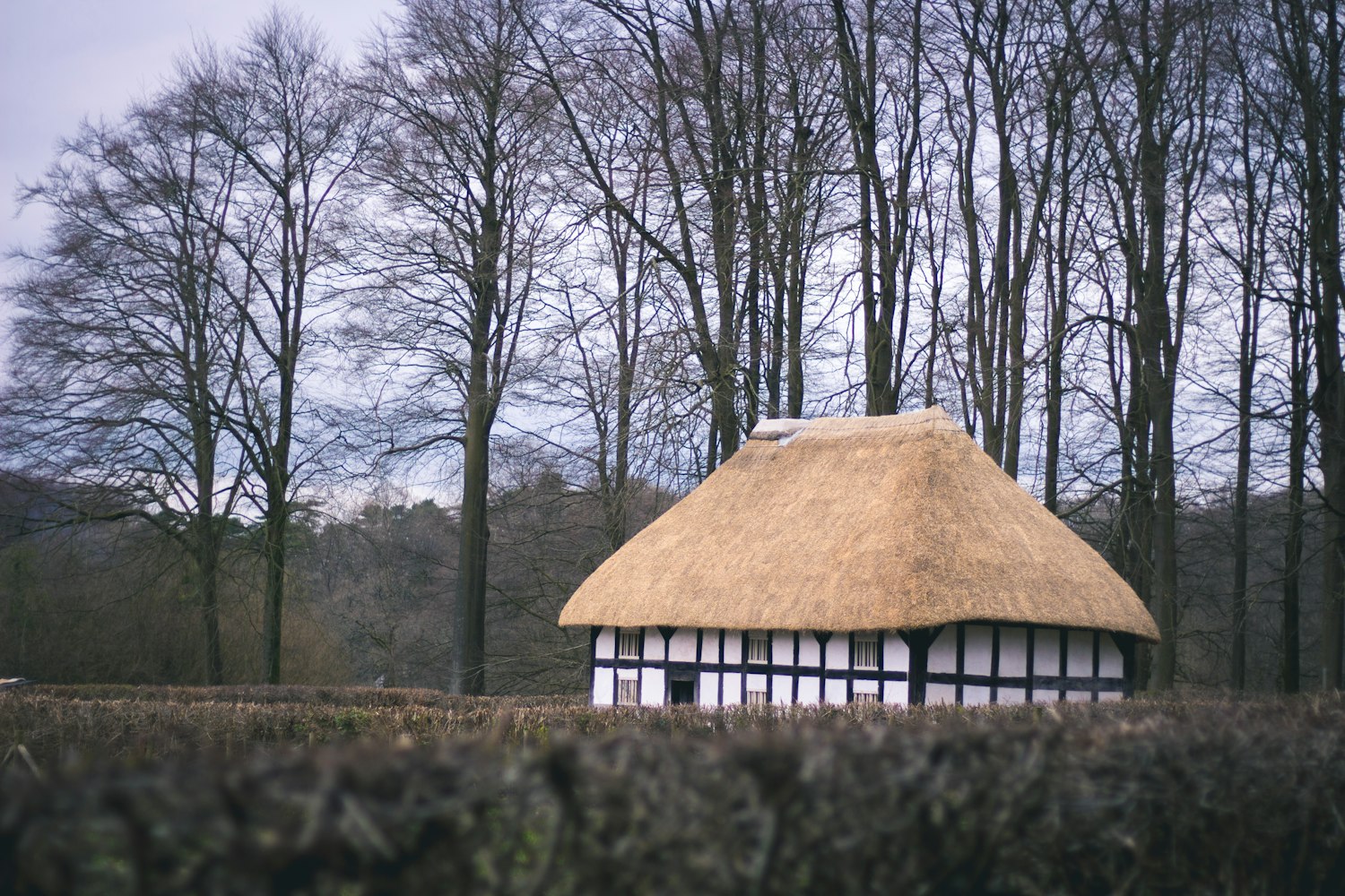圣最新资讯,引领时代力量源泉,掌握前沿资讯动态