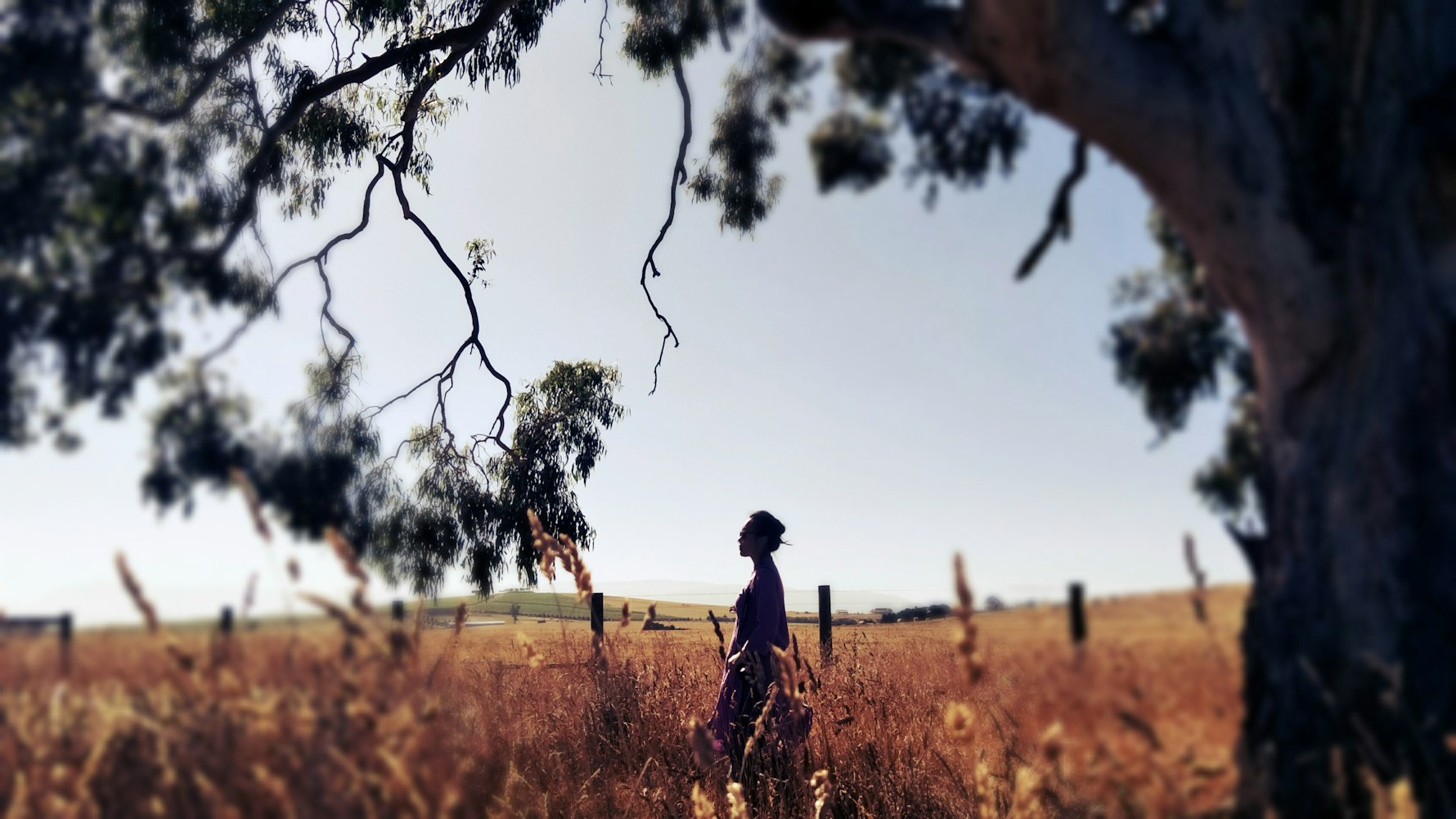 十二夜电影,跨越时空的情感之旅