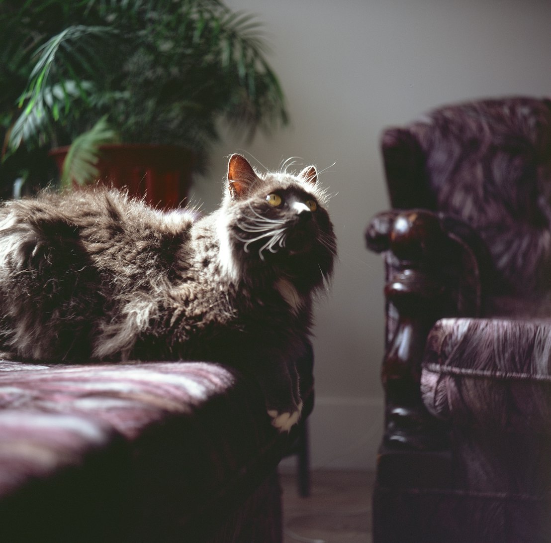 最新感人电影,触动心灵的瞬间情感之旅