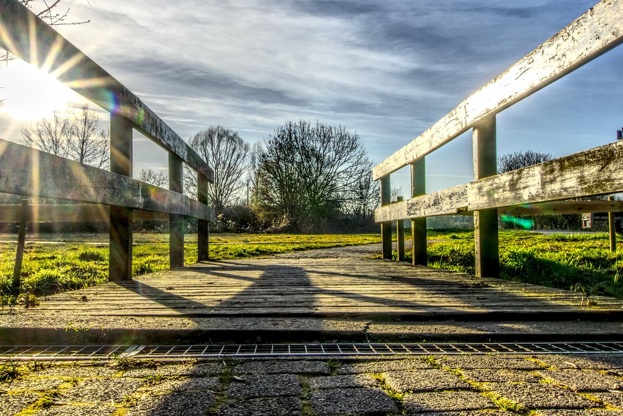 陆萱萱最新动态，闪耀之星持续闪耀