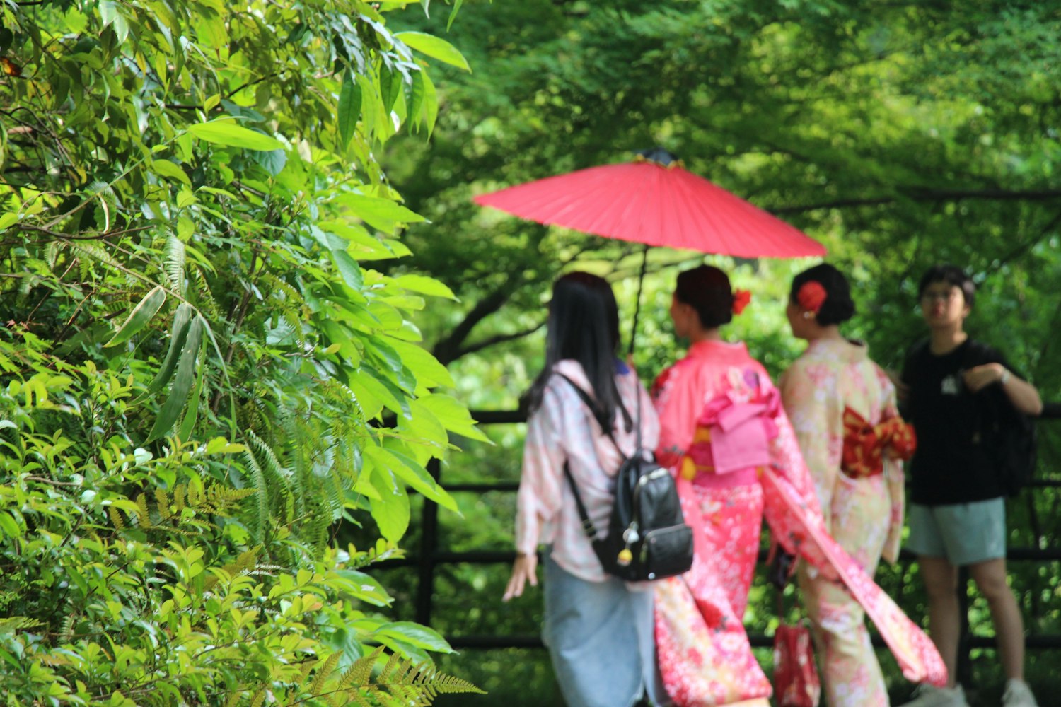 传统与现代交融之美,和服动漫头像女风采展示