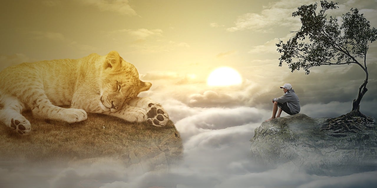 心灵成长的滋养之源，精选心灵读物推荐（2017心灵滋养篇）