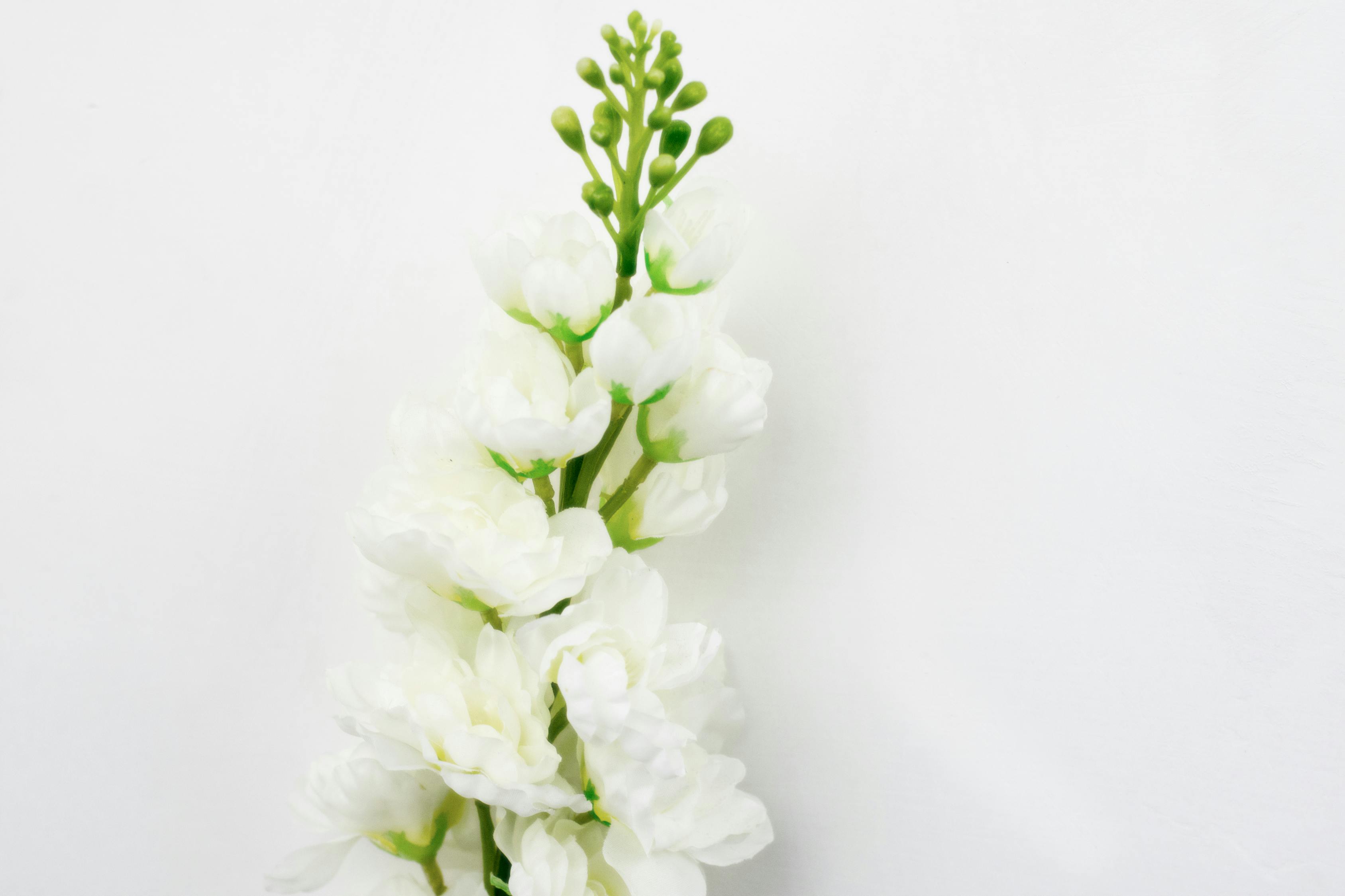 安凯客车股价最新动态及市场走势分析与展望