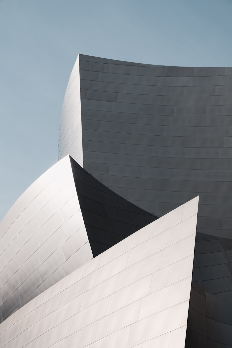 山东金创2017最新动态概览,最新进展与亮点解析