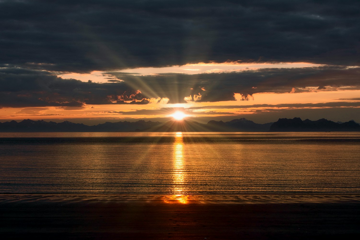 固原明星闪耀光芒,照亮西北大地的璀璨之星