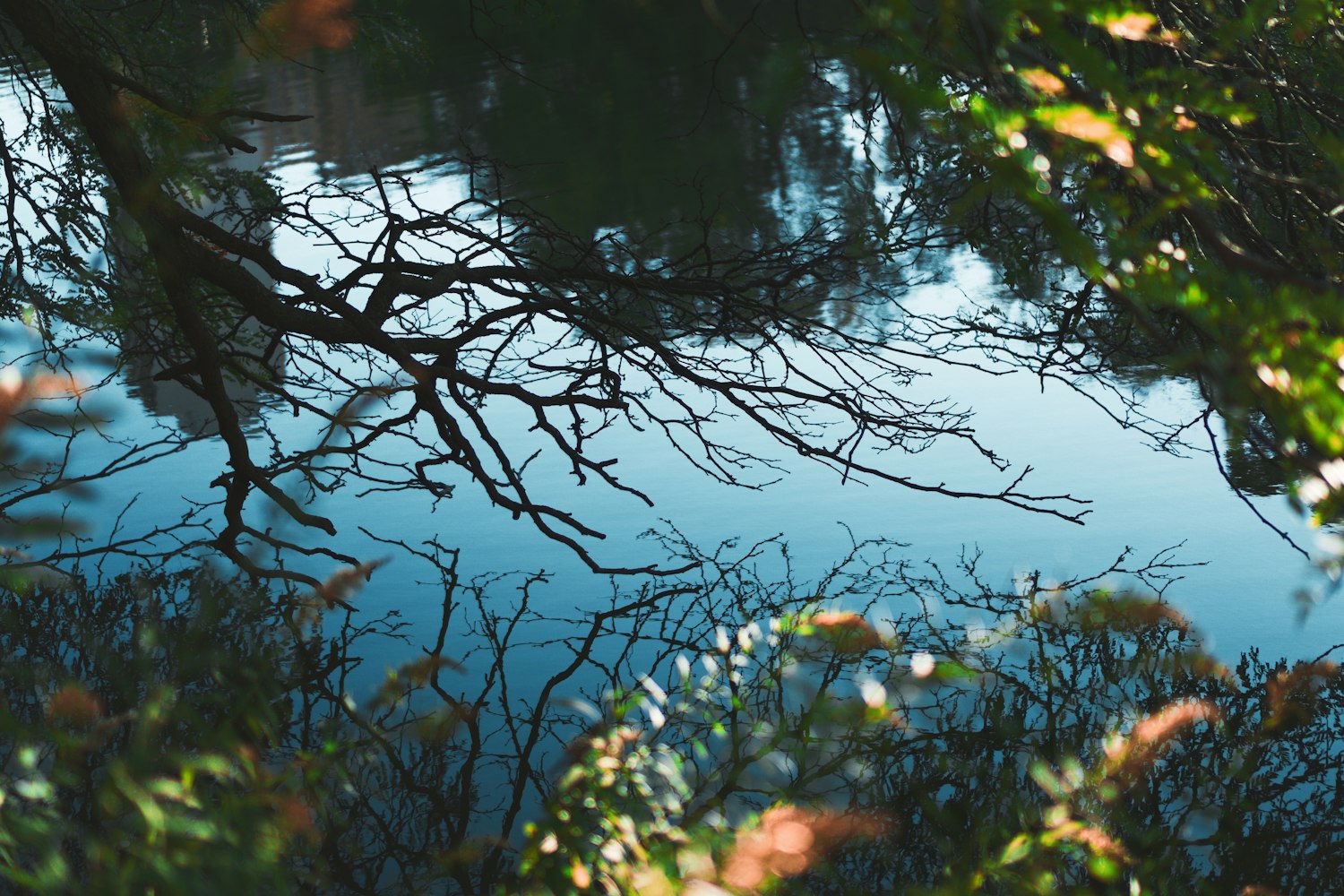 青青草最新内容,自然之美与人文情怀的交融展现